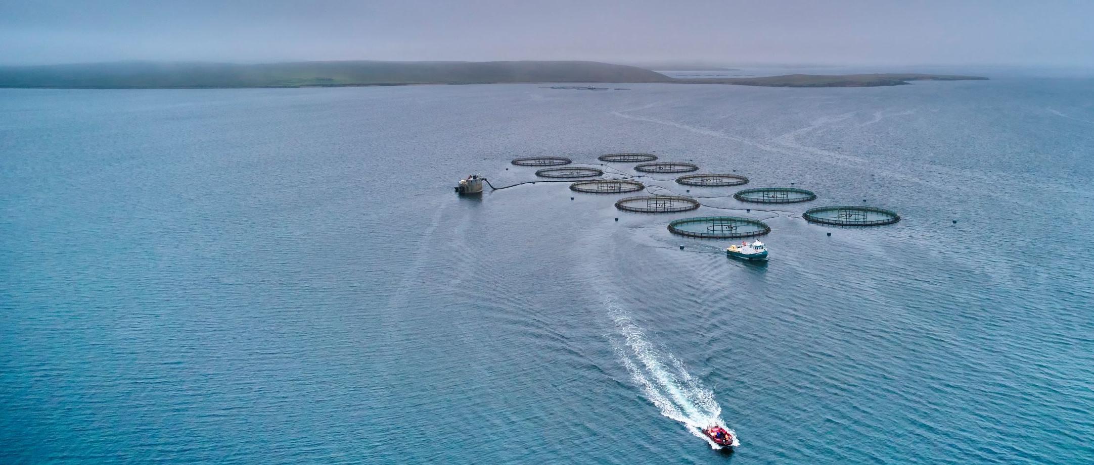 Boat in the water with salmon cages Boat in the water with salmon cages