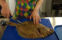 Professional Cookery student working with a plaice