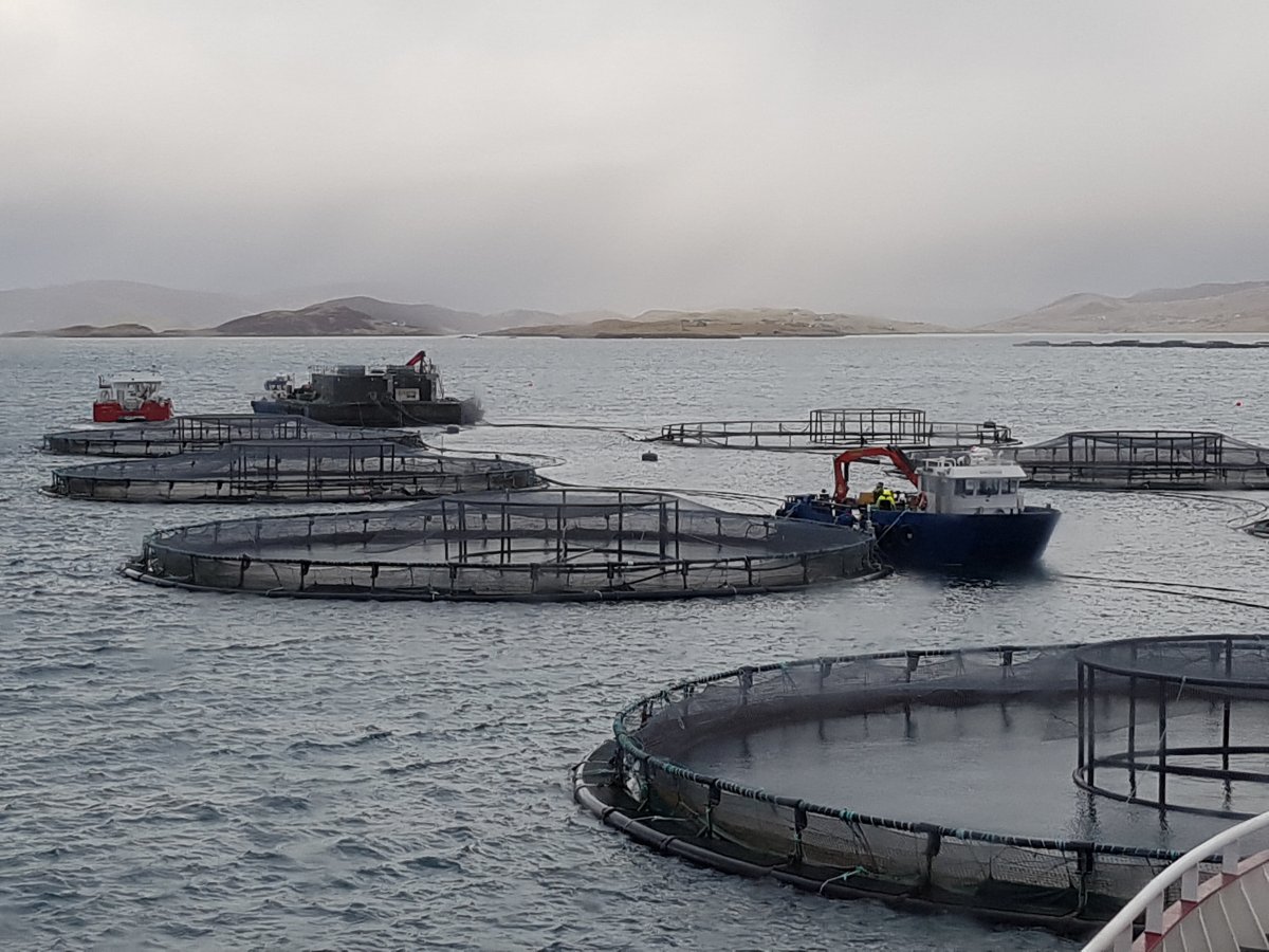 Aquaculture Management Online