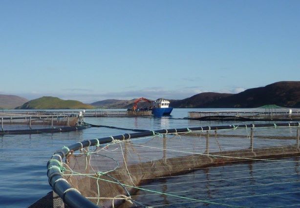 UHI Shetland to benefit from UK Seafood Fund
