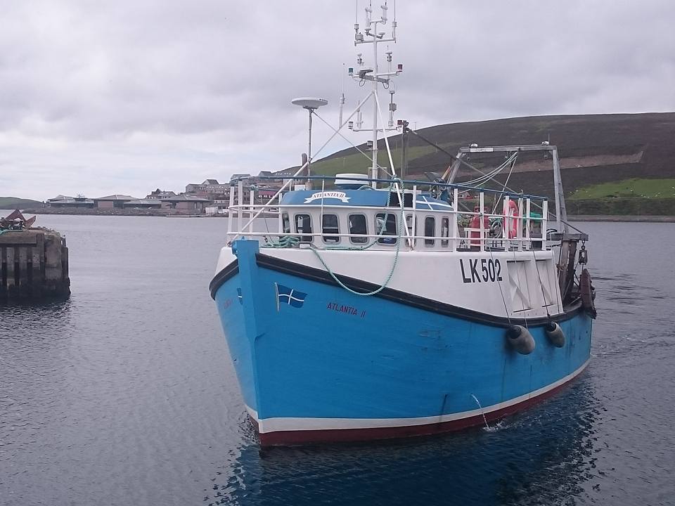 Promising future for Shetland fisheries heralded by survey of juvenile stocks