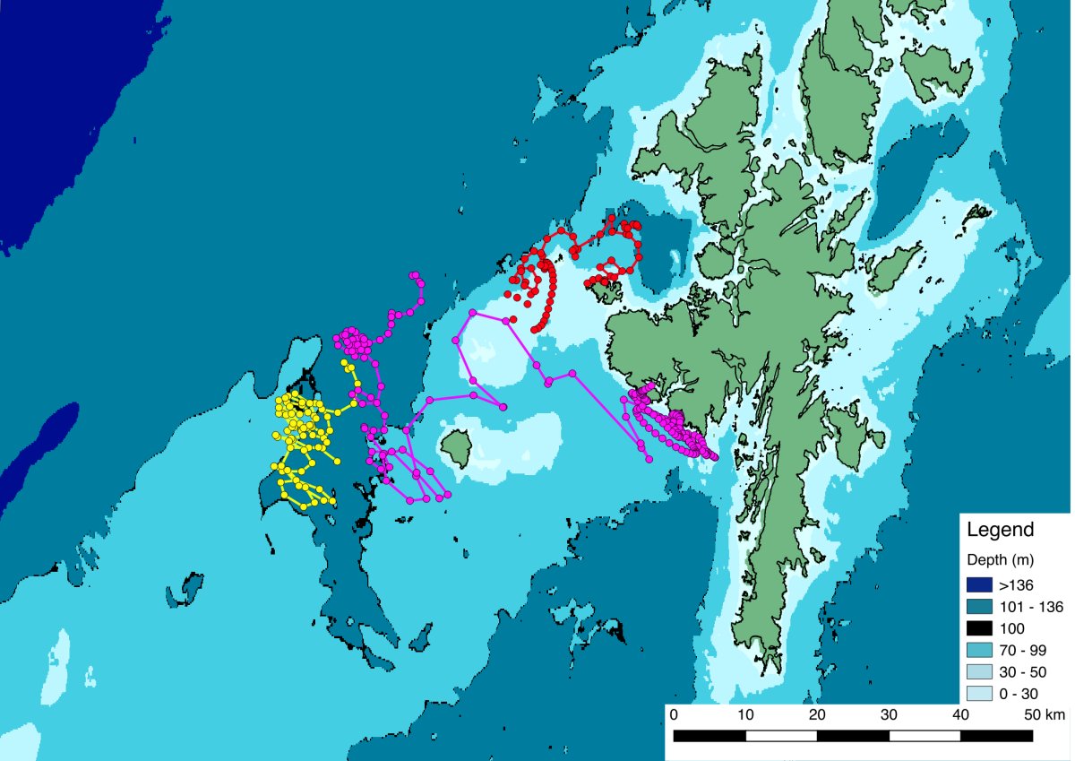 Algal Bloom Research Drifters Update