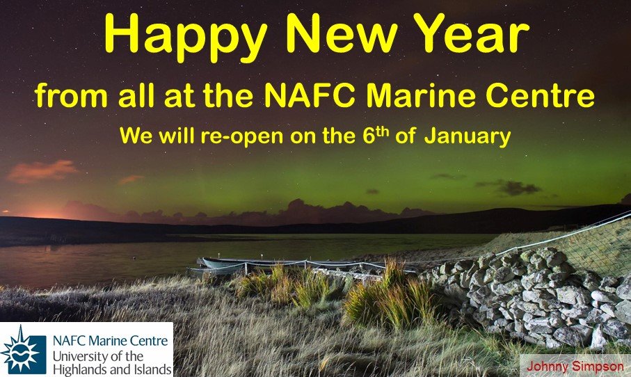 Happy New Year from NAFC