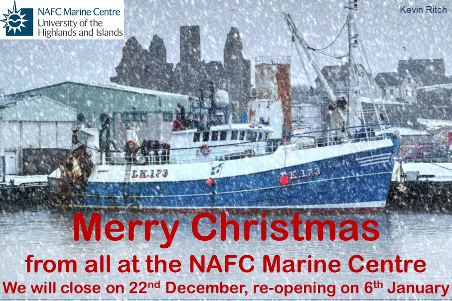 Merry Christmas from NAFC