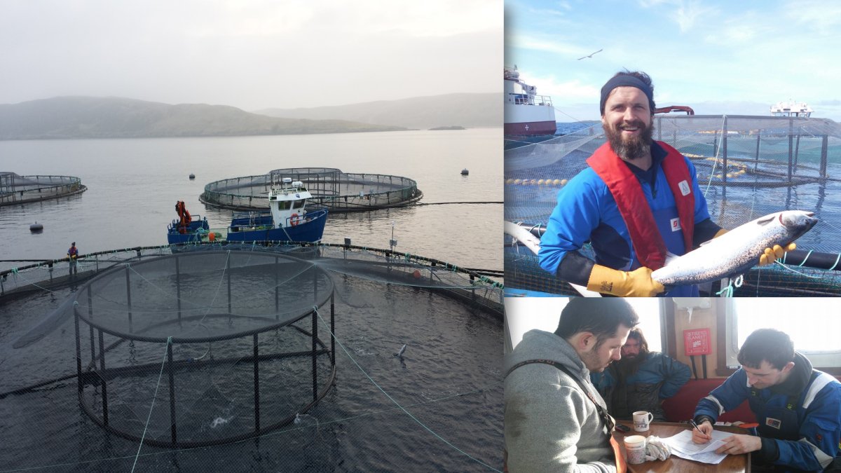 New Aquaculture Courses Launched