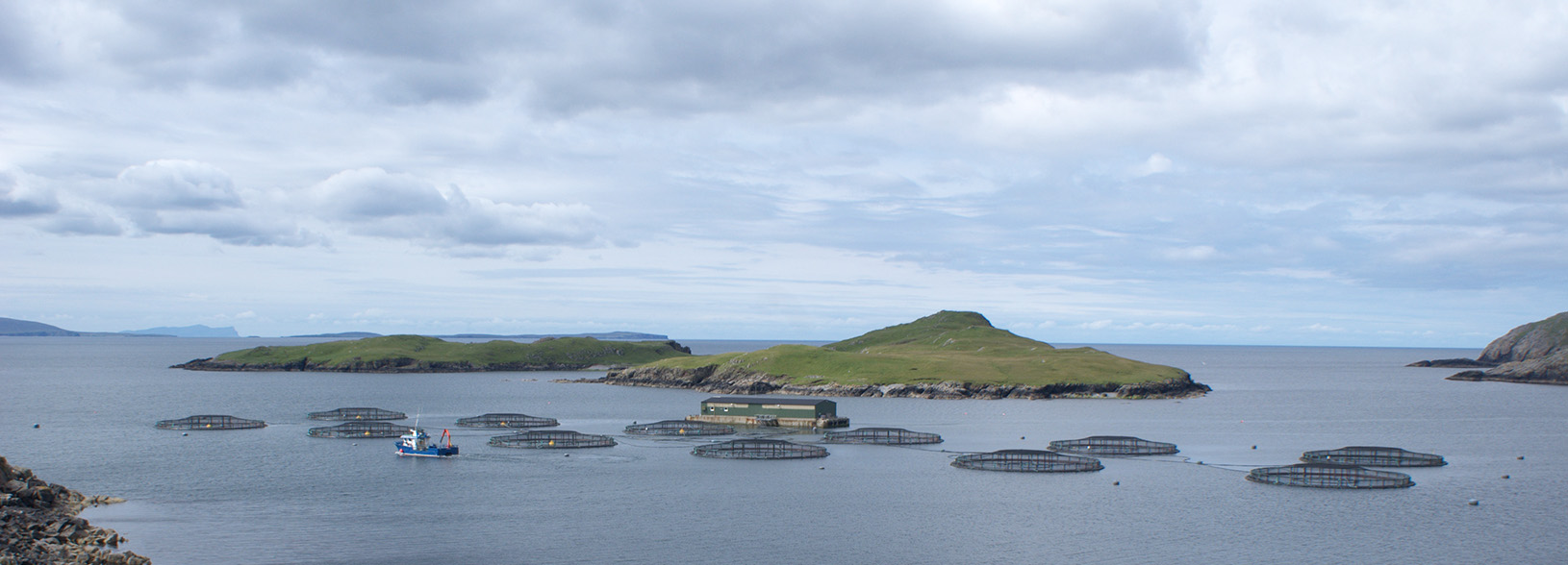 An island with salmon cages on the sea