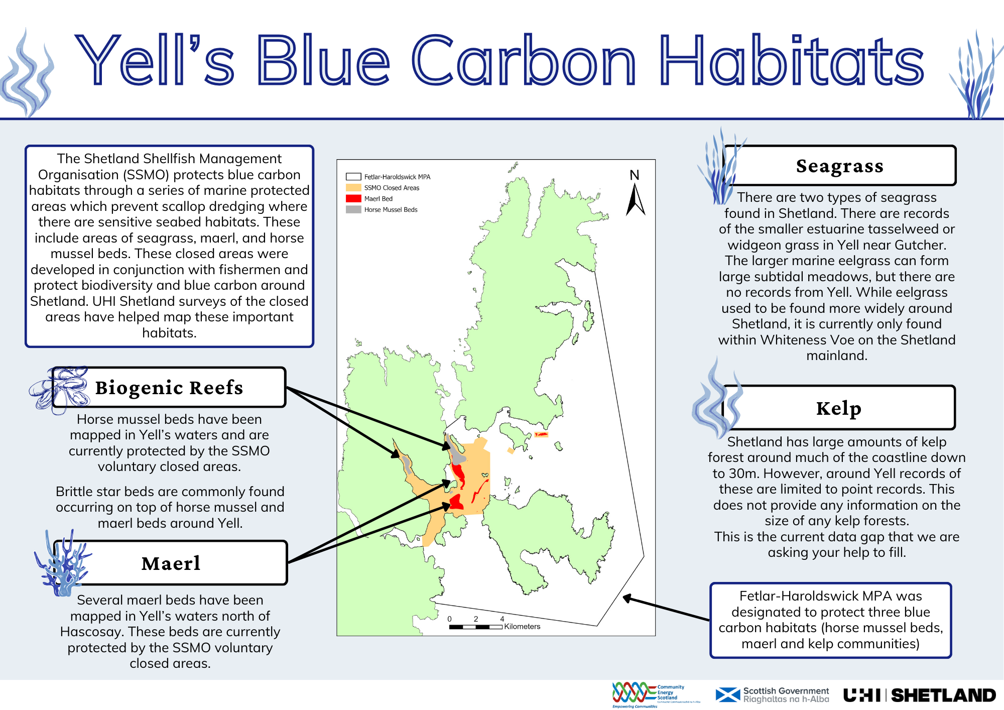 Infographic about Yell's blue carbon habitats