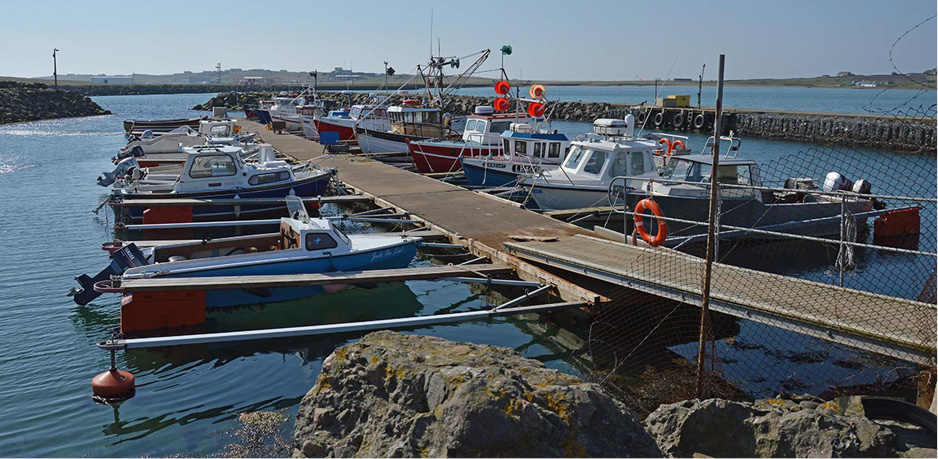 Little motor boats in harbour