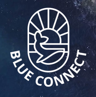 Blue Connect Logo