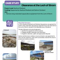 Case study thumbnail