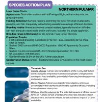 Case study pdf