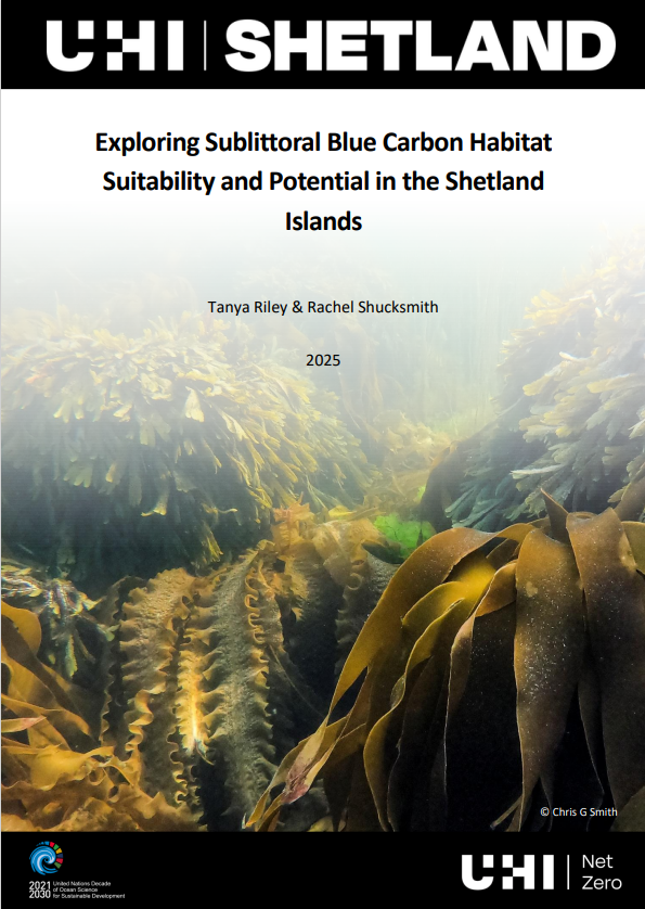 Report cover