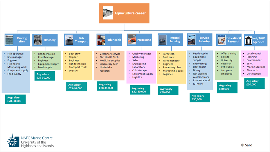 flowchart of careers in the aquaculture industry